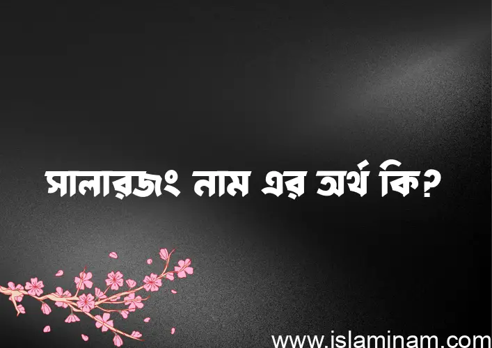 সালারজং নামের অর্থ কি? সালারজং নামের বাংলা, আরবি/ইসলামিক অর্থসমূহ