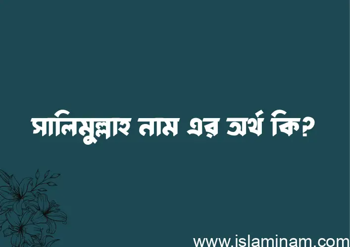 সালিমুল্লাহ নামের অর্থ কি? সালিমুল্লাহ নামের বাংলা, আরবি/ইসলামিক অর্থসমূহ