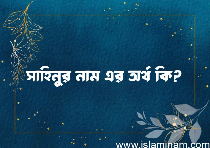 সাহিনুর নামের অর্থ কি? সাহিনুর নামের ইসলামিক অর্থ এবং বিস্তারিত তথ্য সমূহ