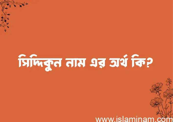 সিদ্দিকুন নামের অর্থ কি? সিদ্দিকুন নামের ইসলামিক অর্থ এবং বিস্তারিত তথ্য সমূহ