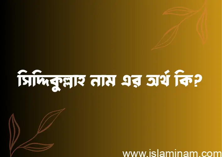 সিদ্দিকুল্লাহ নামের অর্থ কি? ইসলামিক আরবি বাংলা অর্থ এবং নামের তাৎপর্য