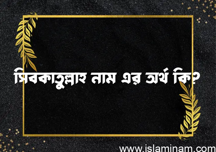 সিবকাতুল্লাহ নামের অর্থ কি? সিবকাতুল্লাহ নামের বাংলা, আরবি/ইসলামিক অর্থসমূহ