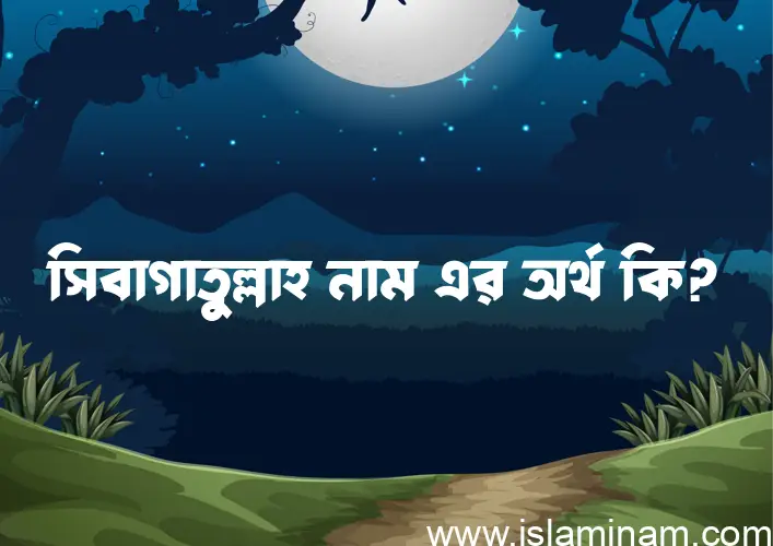 সিবাগাতুল্লাহ নামের অর্থ কি? সিবাগাতুল্লাহ নামের ইসলামিক অর্থ এবং বিস্তারিত তথ্য সমূহ