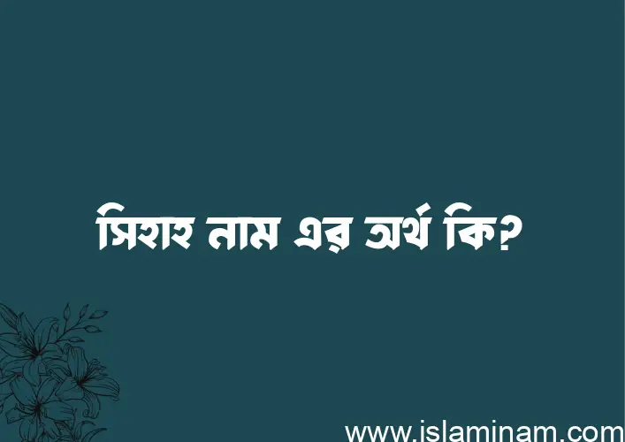 সিহাহ নামের অর্থ কি? সিহাহ নামের ইসলামিক অর্থ এবং বিস্তারিত তথ্য সমূহ