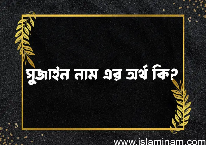 সুজাইন নামের অর্থ কি? সুজাইন নামের ইসলামিক অর্থ এবং বিস্তারিত তথ্য সমূহ