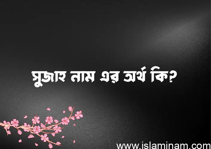 সুজাহ নামের অর্থ কি? সুজাহ নামের বাংলা, আরবি/ইসলামিক অর্থসমূহ