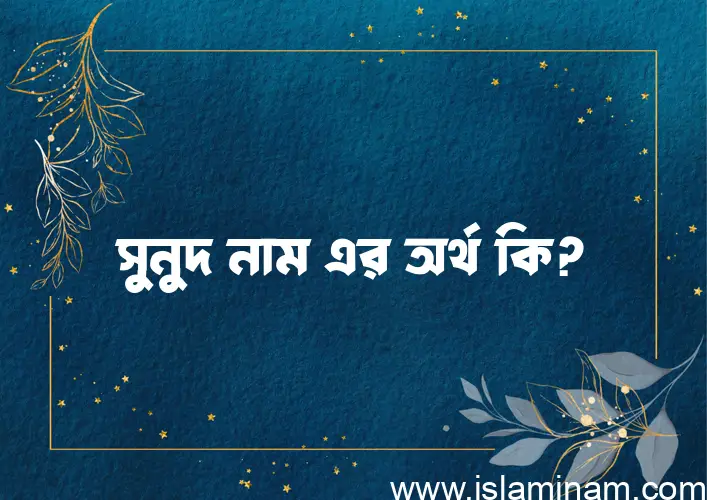 সুনুদ নামের অর্থ কি? ইসলামিক আরবি বাংলা অর্থ এবং নামের তাৎপর্য