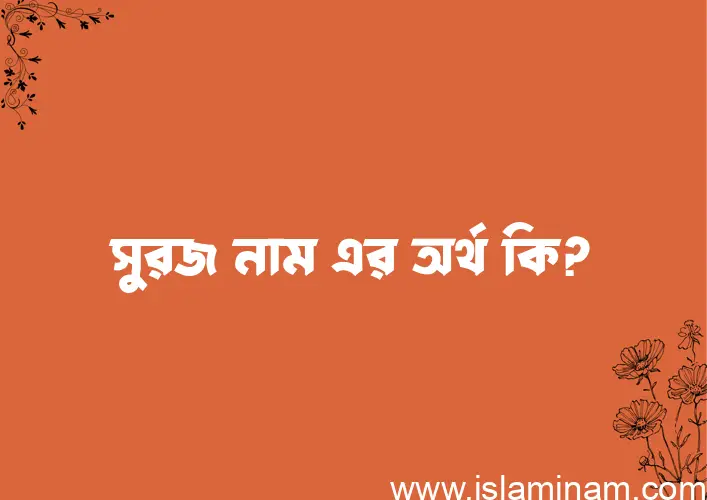 সুরজ নামের অর্থ কি? সুরজ নামের ইসলামিক অর্থ এবং বিস্তারিত তথ্য সমূহ