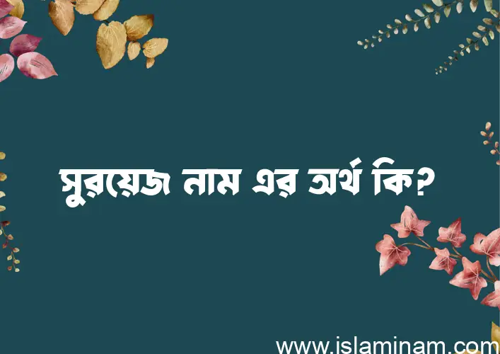 সুরয়েজ নামের অর্থ কি? সুরয়েজ নামের বাংলা, আরবি/ইসলামিক অর্থসমূহ