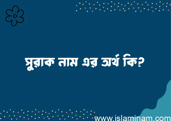 সুরাক নামের অর্থ কি? সুরাক নামের বাংলা, আরবি/ইসলামিক অর্থসমূহ