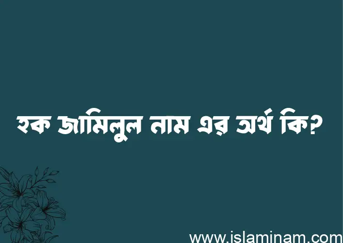 হক জামিলুল নামের অর্থ কি? (ব্যাখ্যা ও বিশ্লেষণ) জানুন