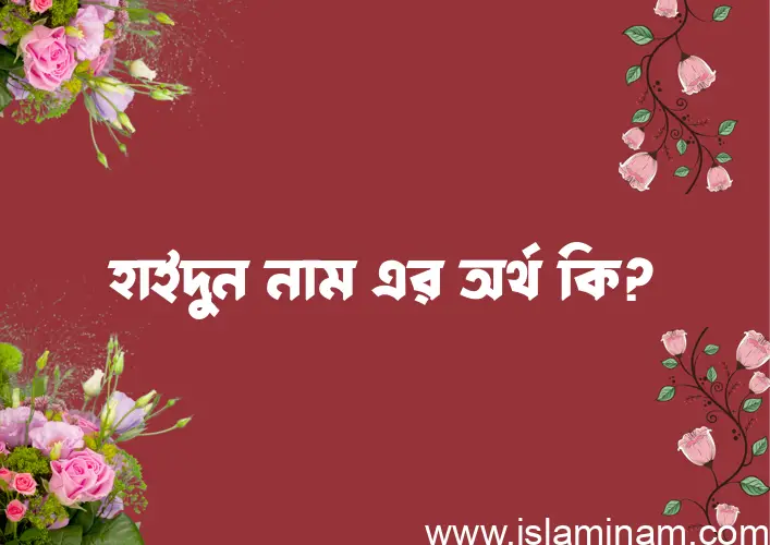 হাইদুন নামের অর্থ কি? ইসলামিক আরবি বাংলা অর্থ এবং নামের তাৎপর্য