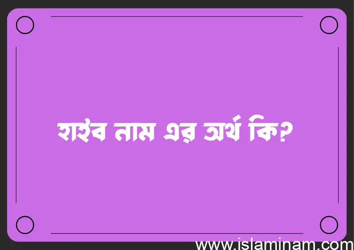 হাইব নামের অর্থ কি? ইসলামিক আরবি বাংলা অর্থ এবং নামের তাৎপর্য