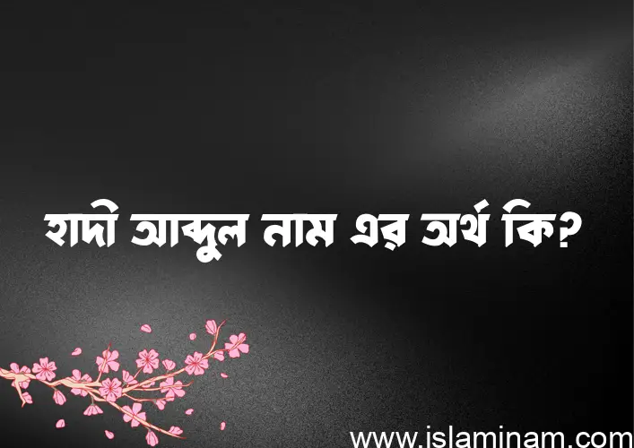 হাদী আব্দুল নামের অর্থ কি? (ব্যাখ্যা ও বিশ্লেষণ) জানুন