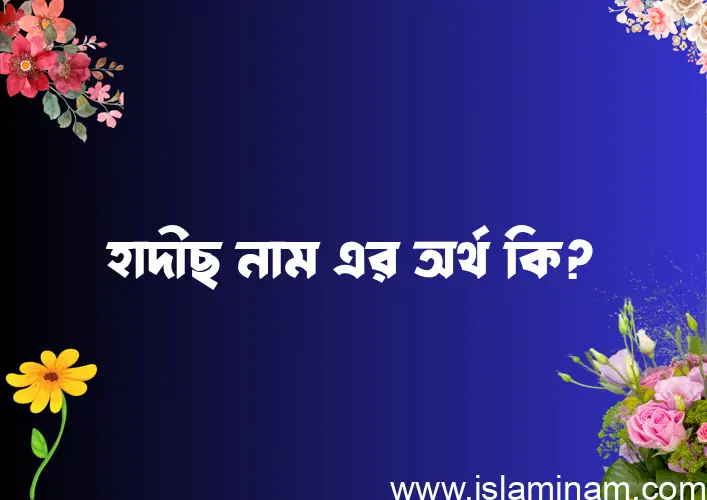 হাদীছ নামের অর্থ কি? হাদীছ নামের ইসলামিক অর্থ এবং বিস্তারিত তথ্য সমূহ