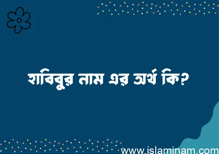 হাবিবুর নামের অর্থ কি? ইসলামিক আরবি বাংলা অর্থ এবং নামের তাৎপর্য