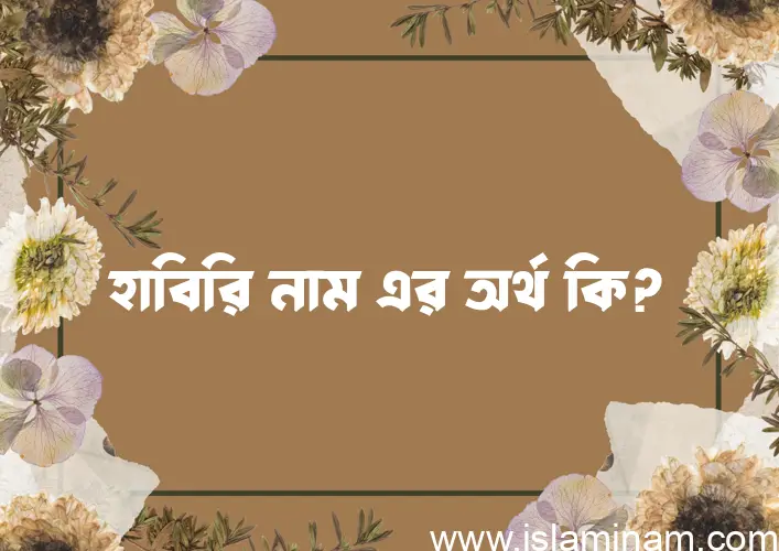 হাবিরি নামের অর্থ কি, ইসলামিক আরবি এবং বাংলা অর্থ জানুন