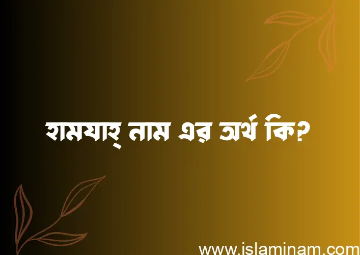 হামযাহ্ নামের অর্থ কি? হামযাহ্ নামের বাংলা, আরবি/ইসলামিক অর্থসমূহ