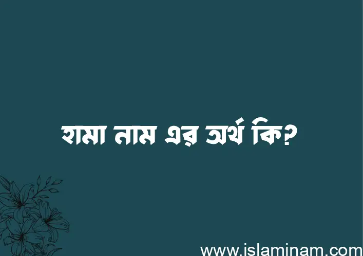 হামা নামের অর্থ কি? ইসলামিক আরবি বাংলা অর্থ এবং নামের তাৎপর্য