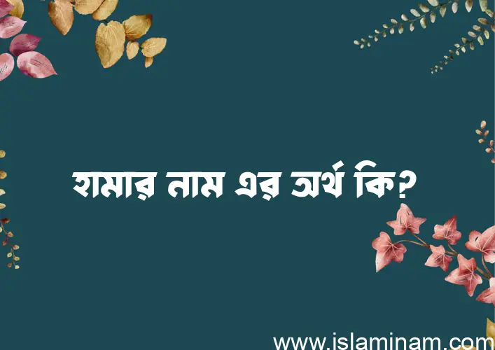 হামার নামের আর্থ কি?