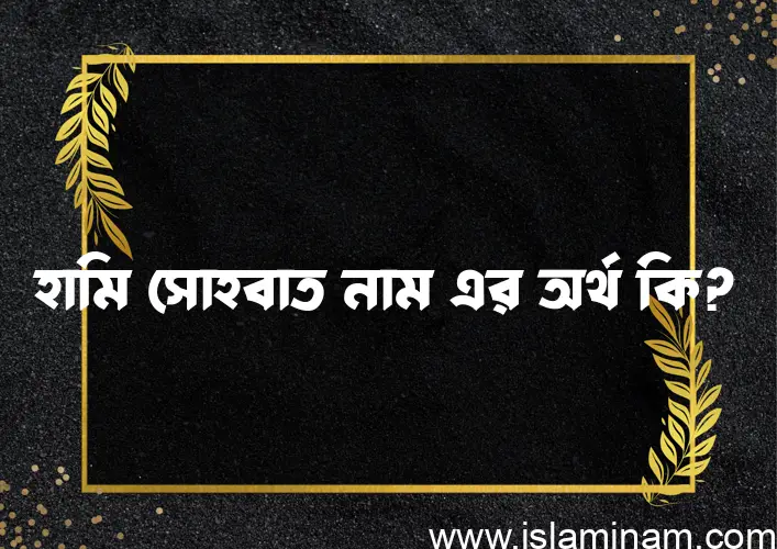 হামি সোহবাত নামের অর্থ কি? (ব্যাখ্যা ও বিশ্লেষণ) জানুন