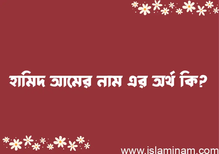 হামিদ আমের নামের অর্থ কি? ইসলামিক আরবি বাংলা অর্থ এবং নামের তাৎপর্য