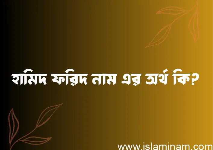 হামিদ ফরিদ নামের অর্থ কি? হামিদ ফরিদ নামের বাংলা, আরবি/ইসলামিক অর্থসমূহ