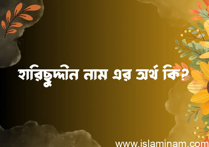 হারিছুদ্দীন নামের অর্থ কি? ইসলামিক আরবি বাংলা অর্থ