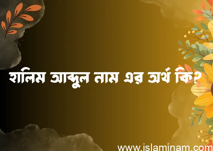 হালিম আব্দুল নামের অর্থ কি? হালিম আব্দুল নামের বাংলা, আরবি/ইসলামিক অর্থসমূহ