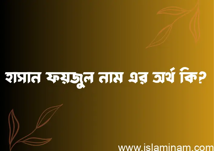 হাসান ফয়জুল নামের অর্থ কি? হাসান ফয়জুল নামের বাংলা, আরবি/ইসলামিক অর্থসমূহ