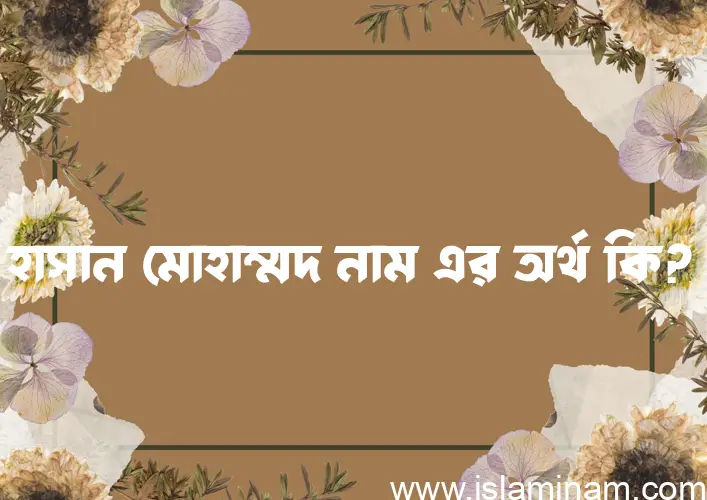 হাসান মোহাম্মদ নামের অর্থ কি? (ব্যাখ্যা ও বিশ্লেষণ) জানুন