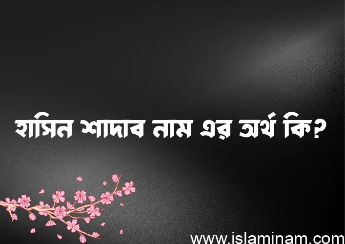 হাসিন শাদাব নামের অর্থ কি? ইসলামিক আরবি বাংলা অর্থ এবং নামের তাৎপর্য